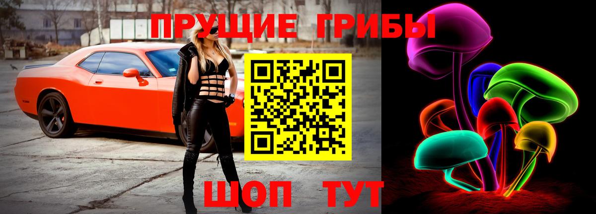 Братск  Галлюциногенные грибы Psilocybine cubensis  Вход с VPN 